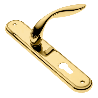 Ручка дверная на планке LEON PL OTL, цвет золото, латунь фото купить в Твери