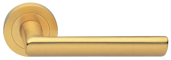 STELLA R2 OSA, ручка дверная, цвет - матовое золото фото купить Тверь