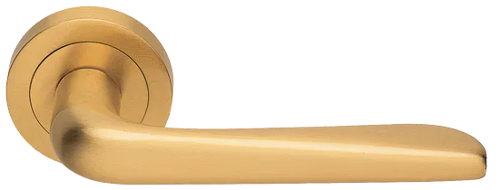 PETRA R2 OSA, ручка дверная, цвет - матовое золото фото купить Тверь