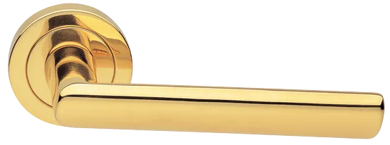 STELLA R2 OTL, ручка дверная, цвет - золото фото купить Тверь